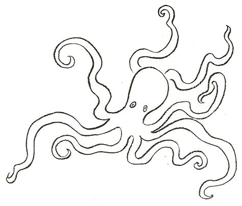 474x402 How To Draw Octopus Drawing Tutorials Amp Drawing Amp How To Draw