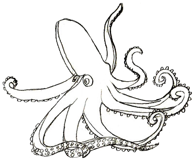 400x331 How To Draw An Octopus