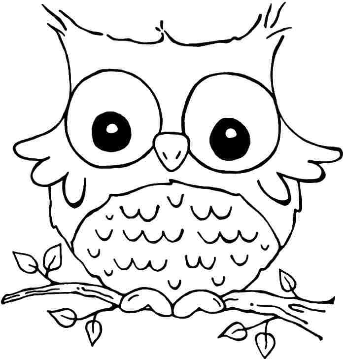 700x734 Cute Owl Coloring Pages To Print For Girls Owl Printable Coloring