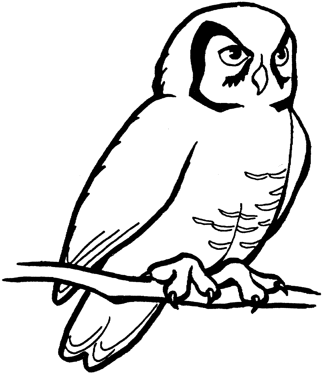 1295x1500 Free Printable Owl Coloring Pages For Kids