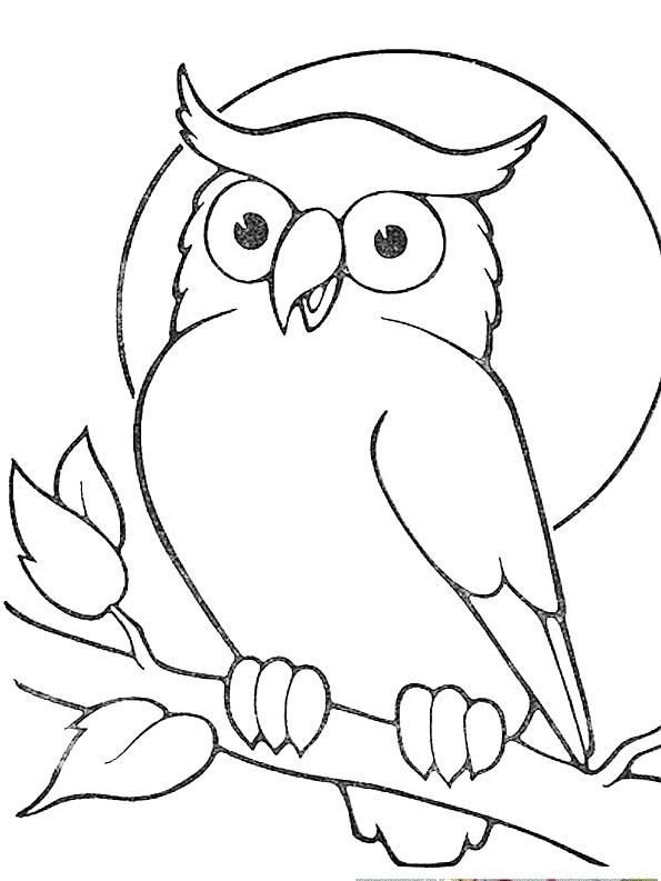 595x793 Outline Owl Sitting On Branch Tattoo Sample Owls!