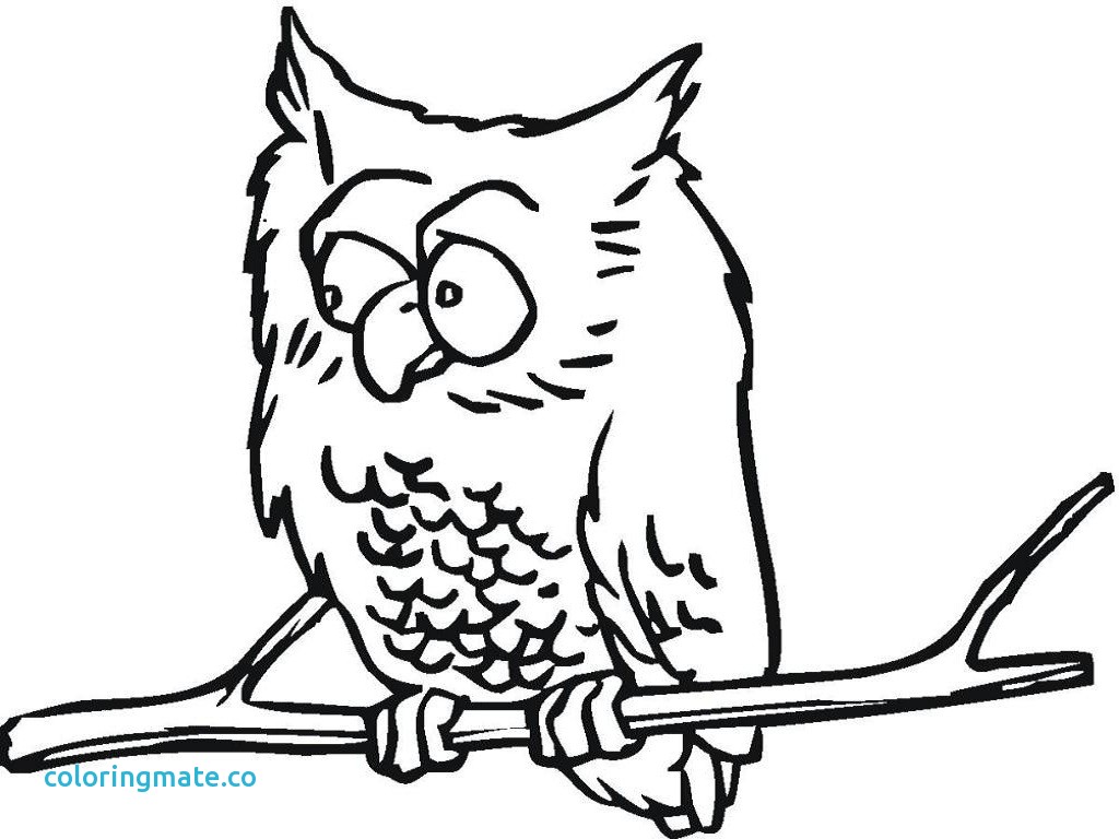 1024x768 Owl Coloring Page Beautiful Owl Coloring Pages For Kids Realistic