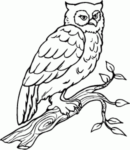 260x300 Animal Coloring Pages For Kids To Print Amp Color