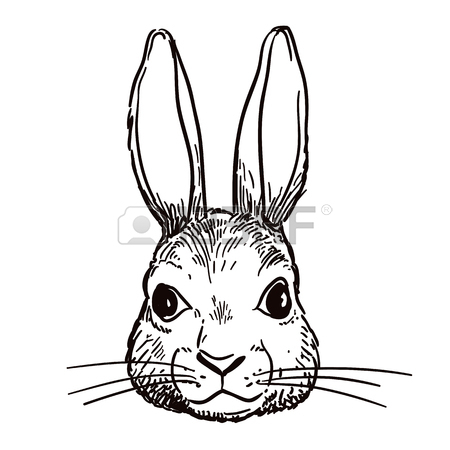 450x450 Vector Hand Drawn Black And White Illustration Of An Owl Portrait