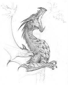236x295 Realistic Dragon Fighting Pictures