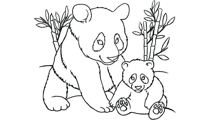 720x419 Enchanting Panda Bear Coloring Pages 44 On Line Drawings