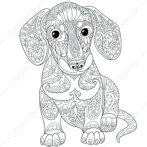 570x570 Animal Coloring Pages For Adults Together With Coloring Page Love