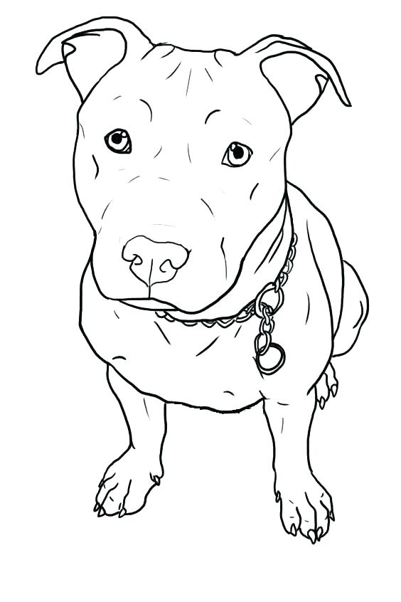 564x846 Idea Pitbull Coloring Pages Or Coloring Pages Of Coloring Pages 92
