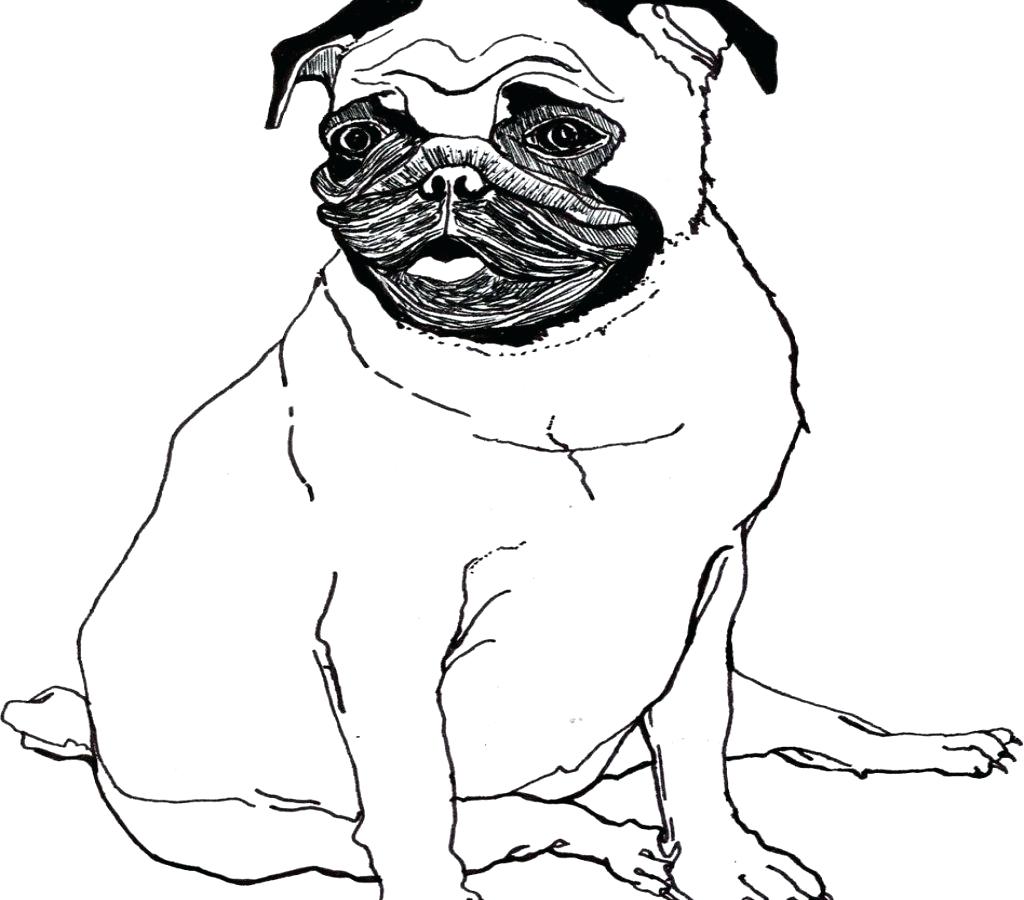 Printable Realistic Puppy Coloring Pages