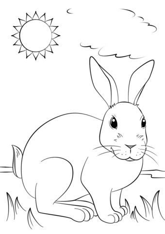 340x480 Cute Rabbit Coloring Page Free Printable Coloring Pages