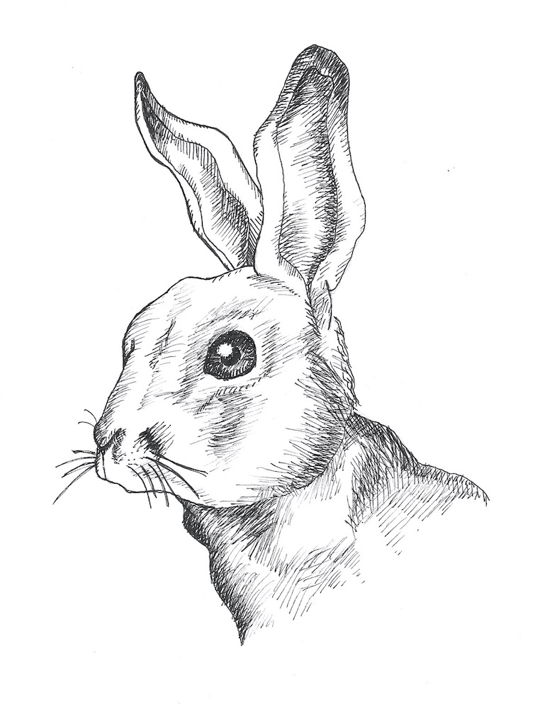 762x994 Hand Drawn Flip Book Matt Cavallo Design