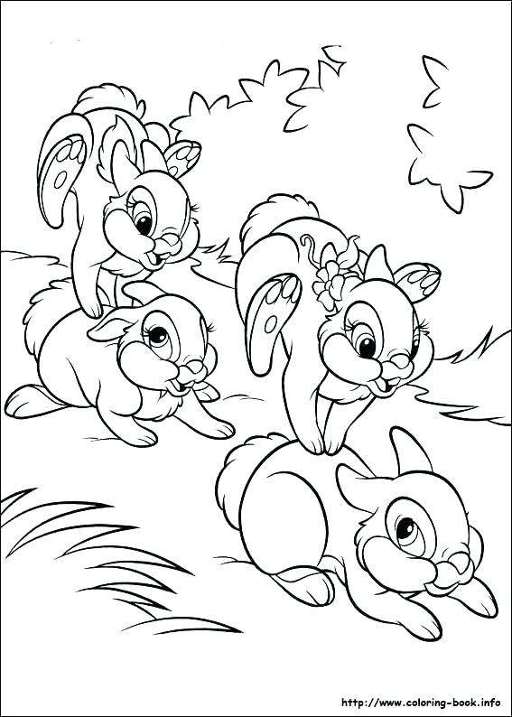 567x794 Rabbit Color Pages As Rabbit Coloring Pages Rabbits Coloring Pages