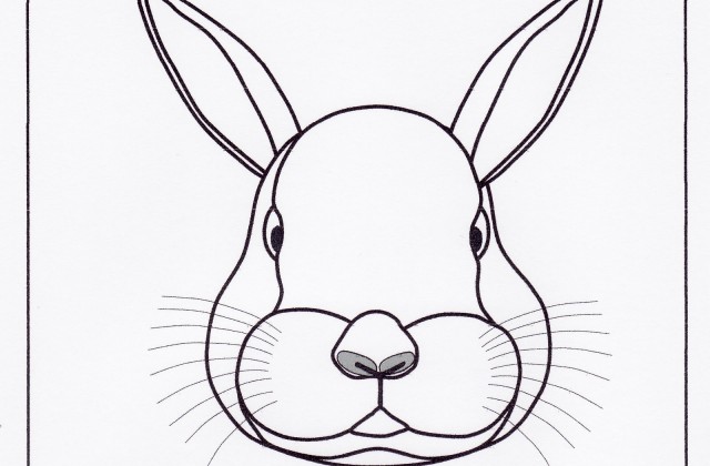 640x420 Tag For Drawing Rabbit Pics Photos Learn How To Draw A Rabbit
