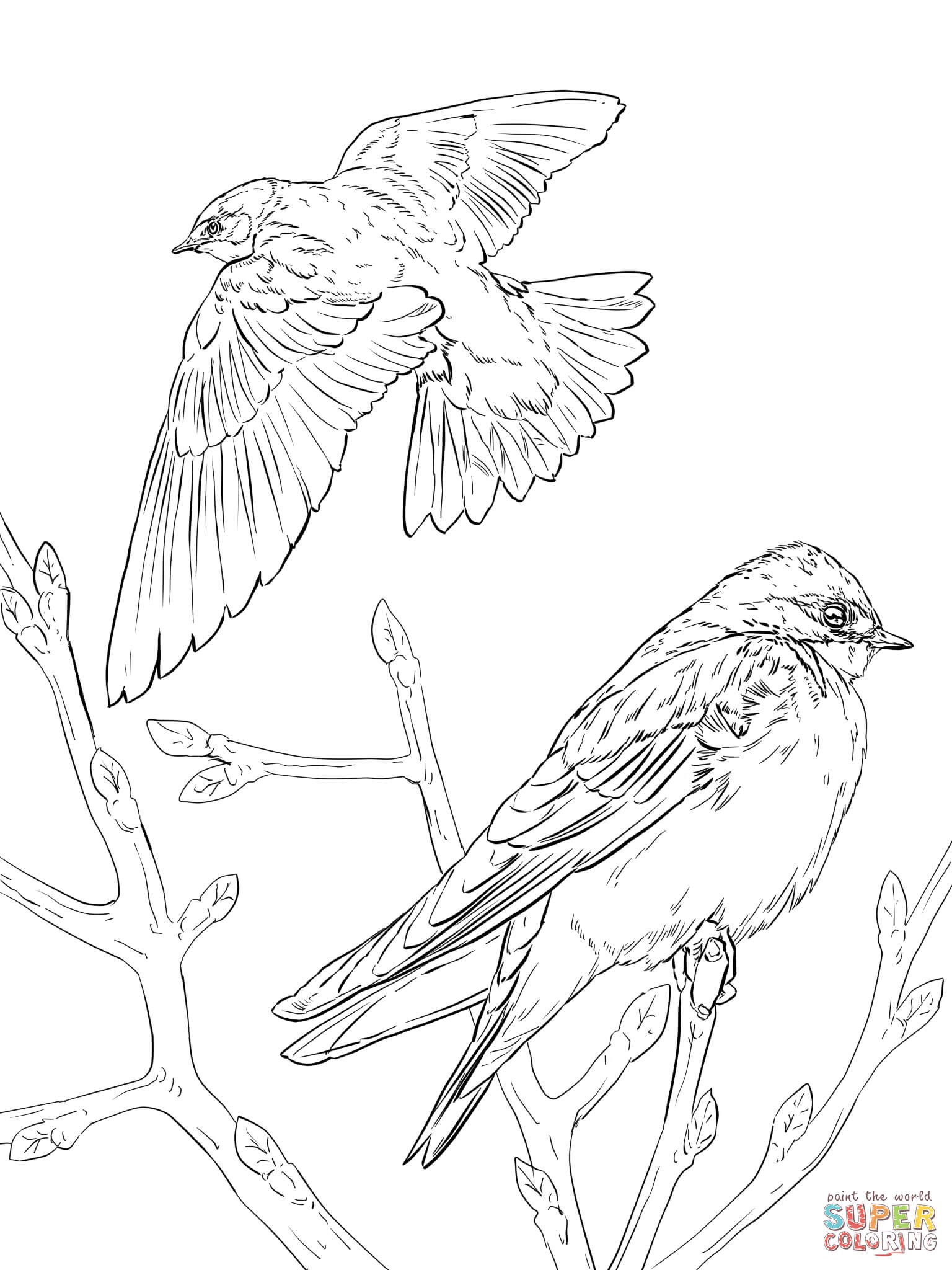 1536x2048 Realistic Bird Coloring Pages Wallpapers