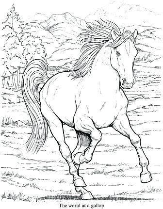 336x431 Realistic Coloring Pages Coloring Pages Coloring Daffodil Pages