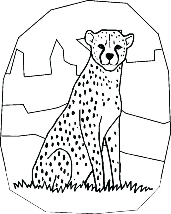 687x856 Realistic Coloring Pages