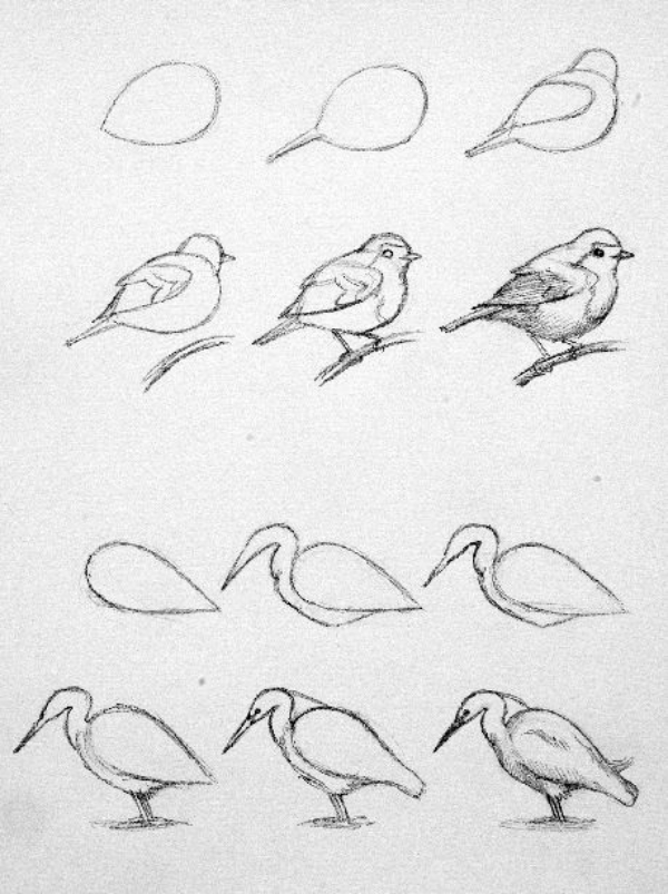 600x803 20 Step By Step Art Drawings To Practice In Free Time
