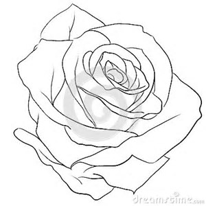 300x300 Image Result For Drawing A Realistic Rose Buds Art