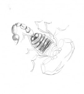 270x300 Free Drawing Lessons And Step By Step Tutorials On How To Draw