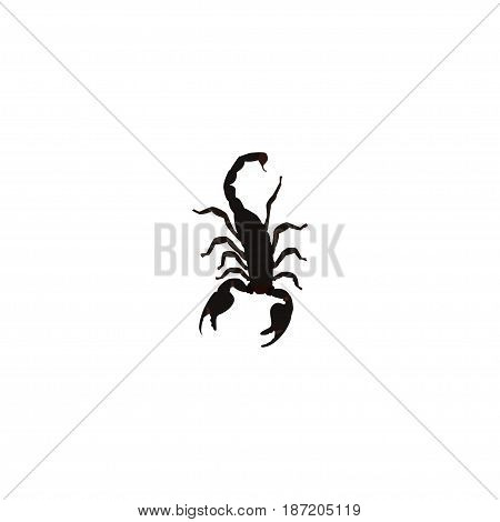 450x470 Scorpion Images, Illustrations, Vectors