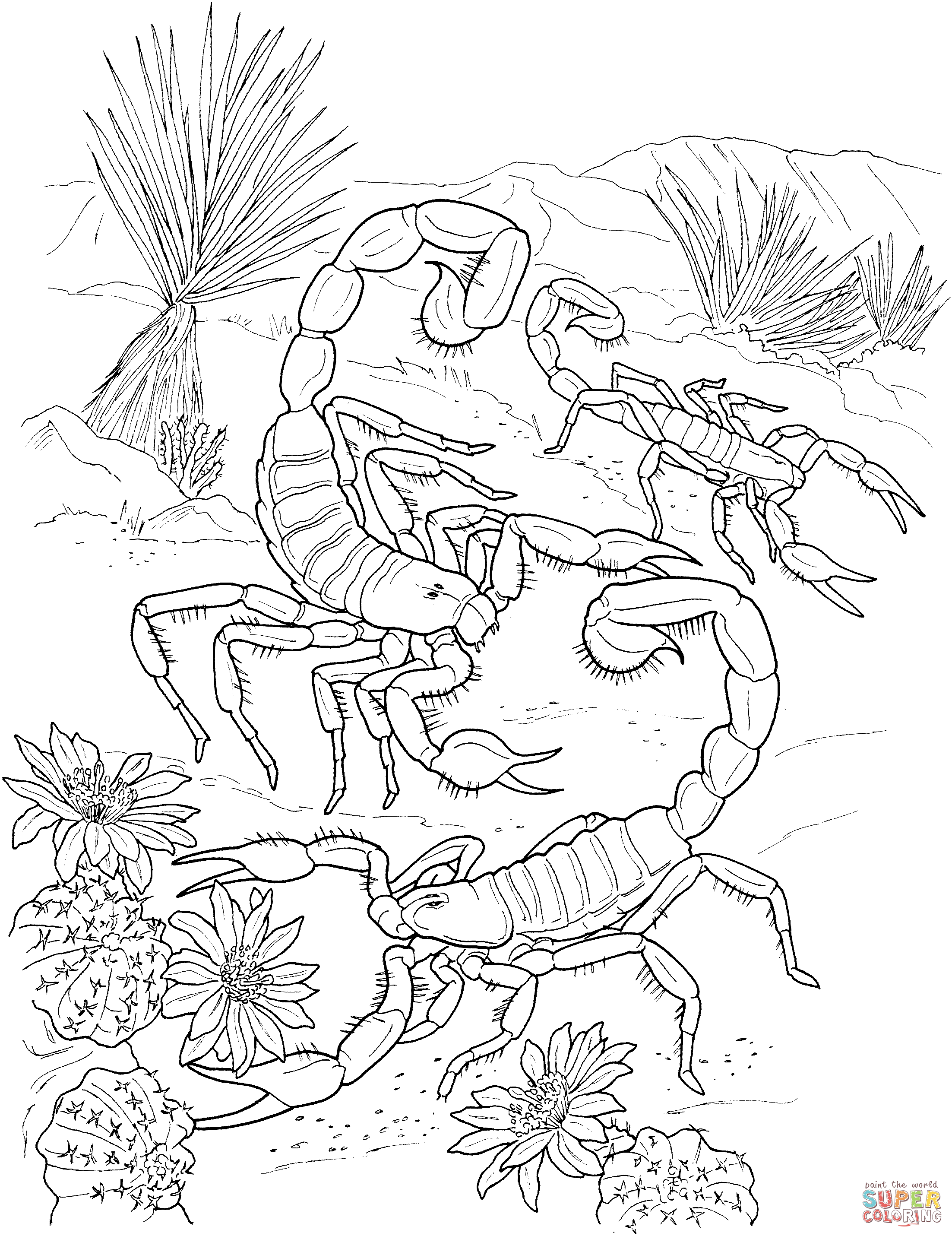2205x2862 Desert Scorpions Coloring Page Free Printable Coloring Pages
