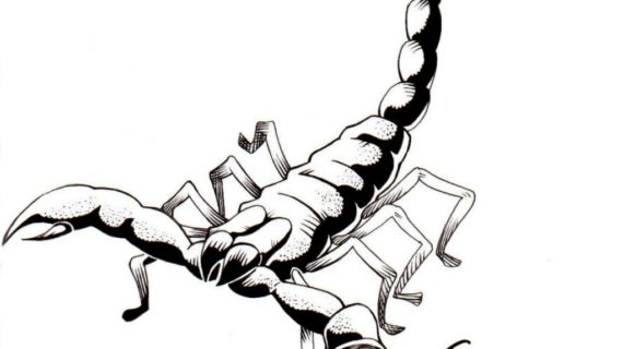 570x320 Drawings Of Scorpions
