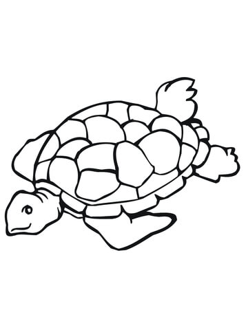 360x480 Sea Turtle Coloring Page Free Printable Coloring Pages