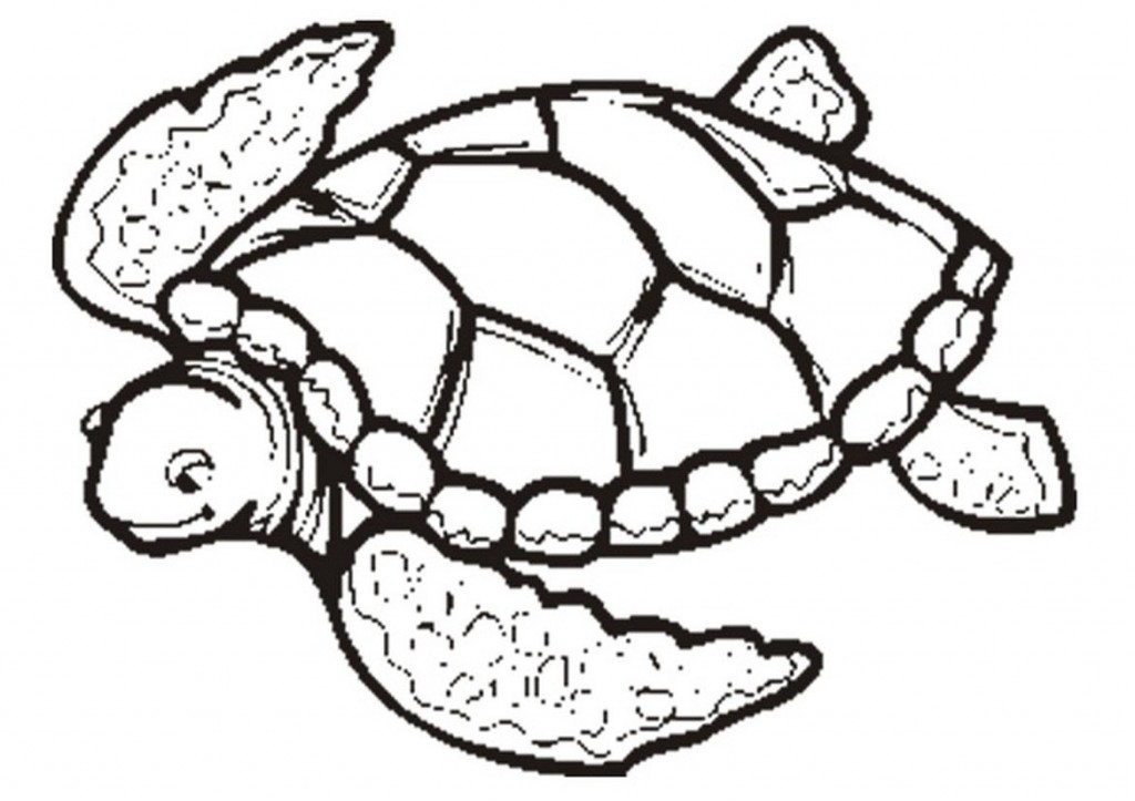 1024x723 Coloring Pages Of Sea Turtles Coloring Pages