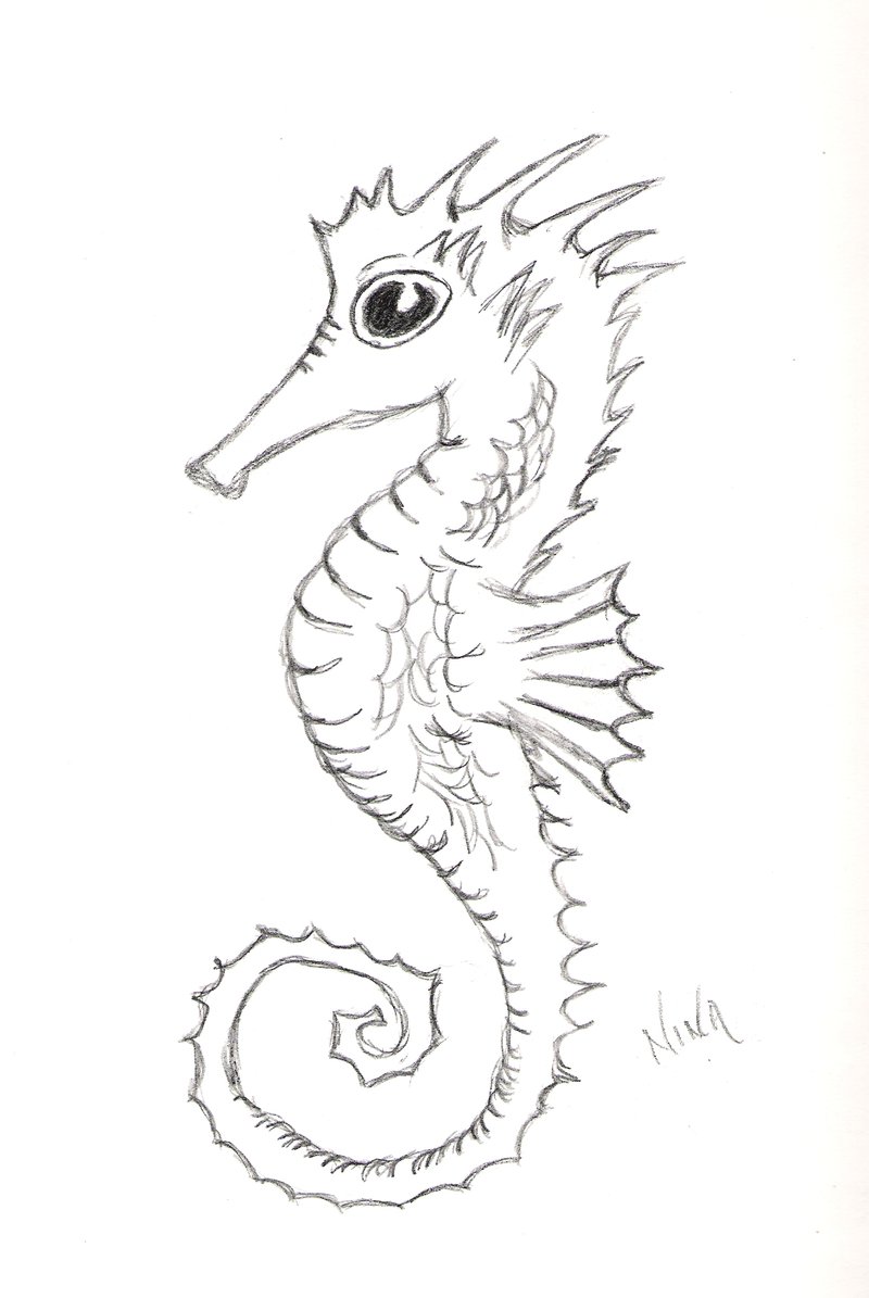 800x1195 Seahorse Wip By Flina On Gjf Seahorses
