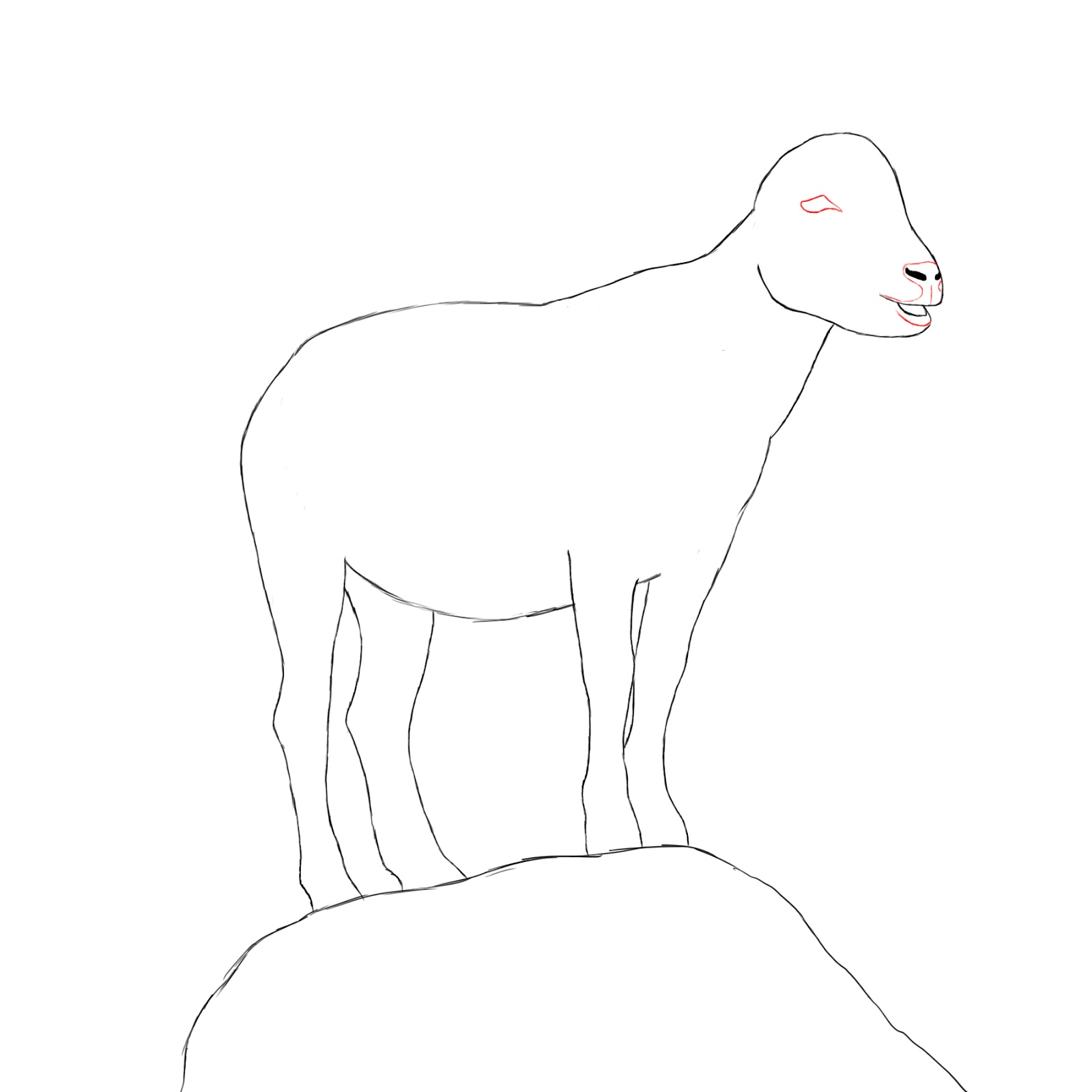 1600x1600 How To Draw A Goat