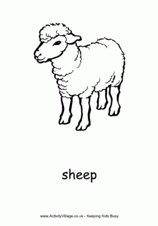320x457 Sheep Colouring Pages