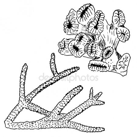 450x450 Sheep Hand Drawn Vector Illustration Realistic Sketch Stock