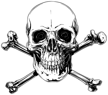 450x397 Graphic Realistic Human Skull With Crossed Bones Royalty Free