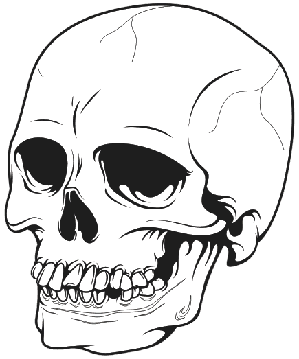 Realistic Skull Drawing at GetDrawings | Free download