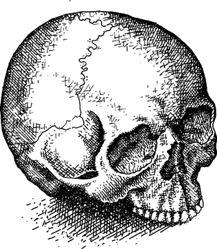 316x362 Thinking Hand Studios Classes Amp Workshops In Jewellery Sculpture