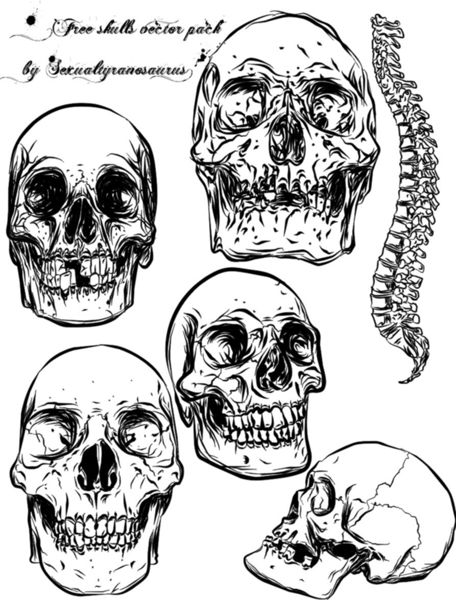 893x1174 Skull Vector Pack By Sexualtyranosaurus Skulls