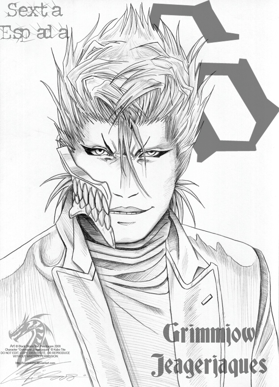 900x1248 Bleach Grimmjow Jeagerjaques By Blackstorm