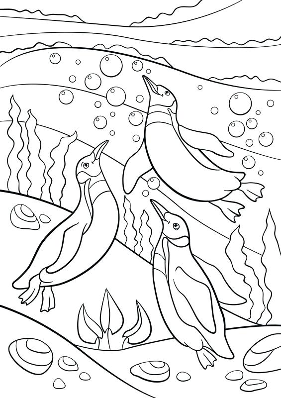 565x800 Complete Underwater Coloring Pages New Realistic Printable