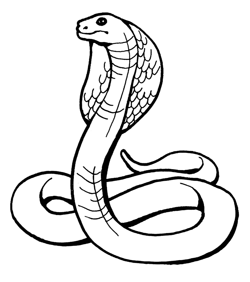 800x900 Indian Design With Three Headed Cobra Coloring Page Free Printable