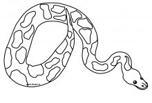 220x150 Snake Coloring Pages