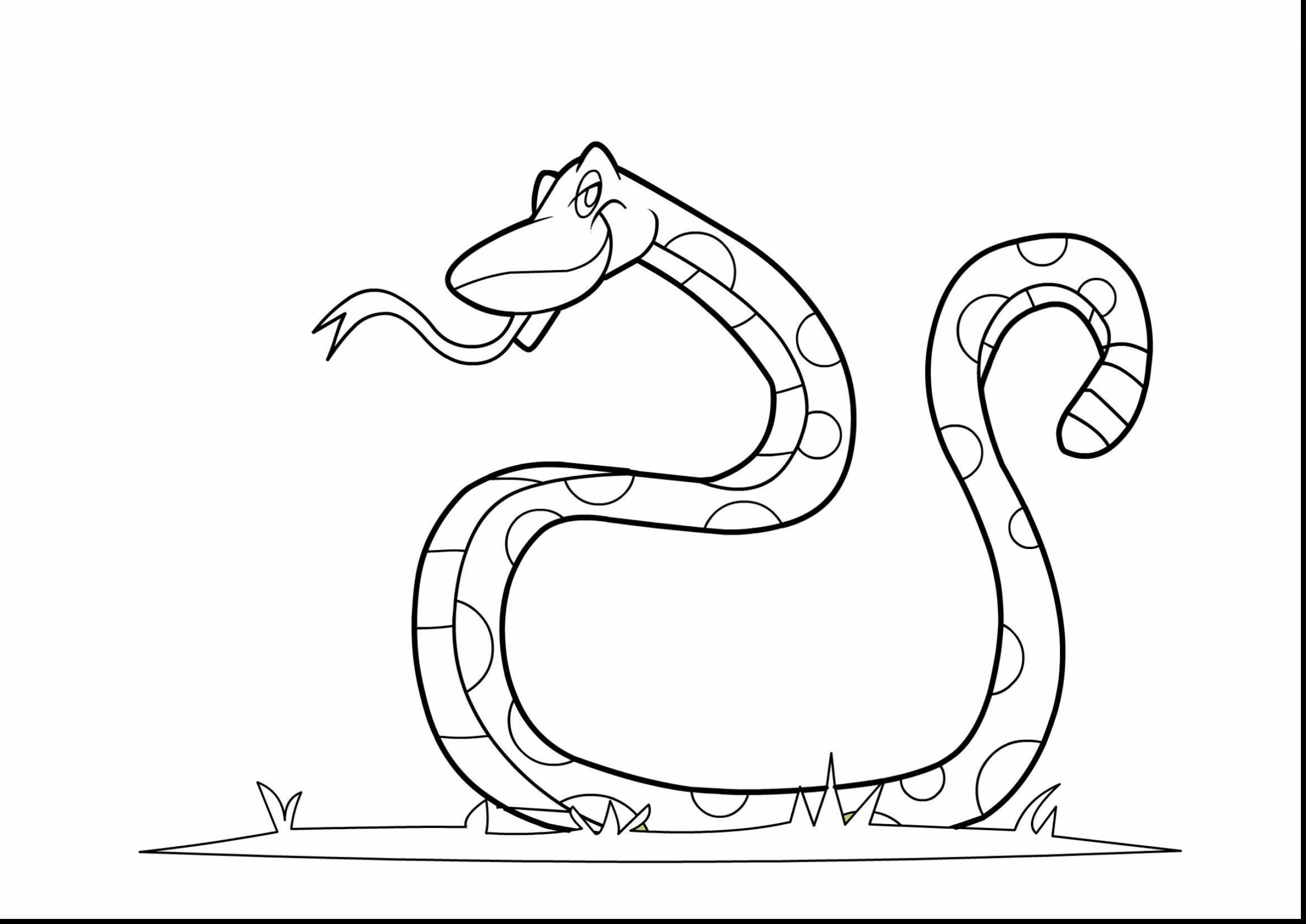 2559x1811 Extraordinary King Cobra Snake Drawings With Snake Coloring Page
