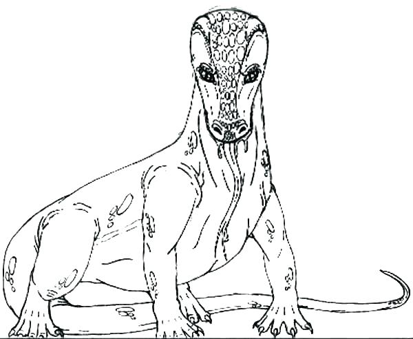 600x492 Coloring Page Snake Snake Coloring Sheets Alligator Coloring Page