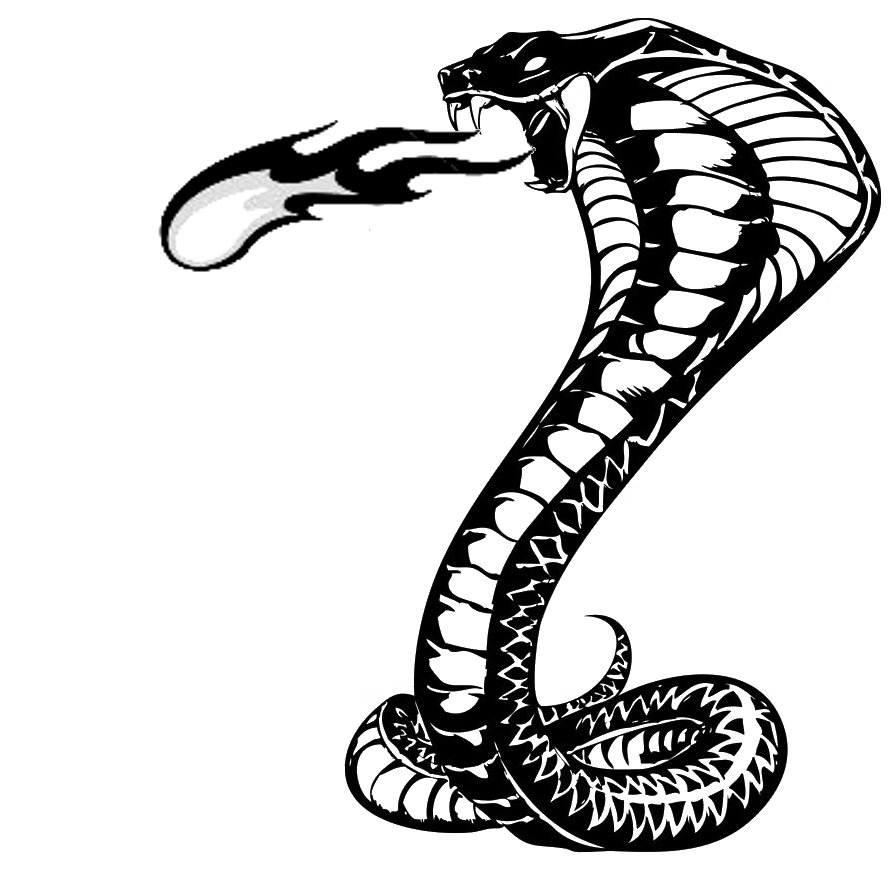 888x888 Cool Snake Drawings Cobra Snake Drawings Realistic