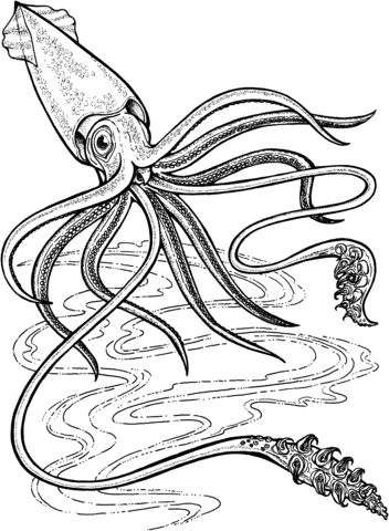 352x480 Deep Ocean Giant Squid Coloring Page Coloring Pages