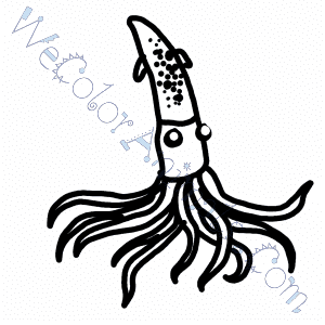300x300 Squid Coloring Pages