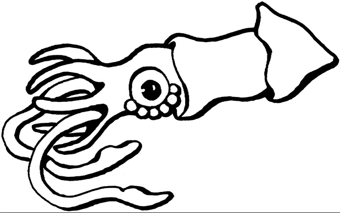 692x435 Ultimate Squid Coloring Pages Page Book