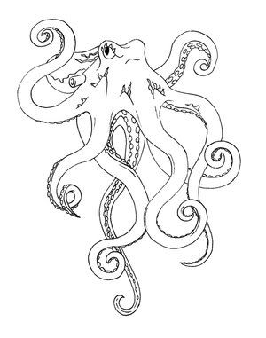 300x381 Black And White Octopus Drawing