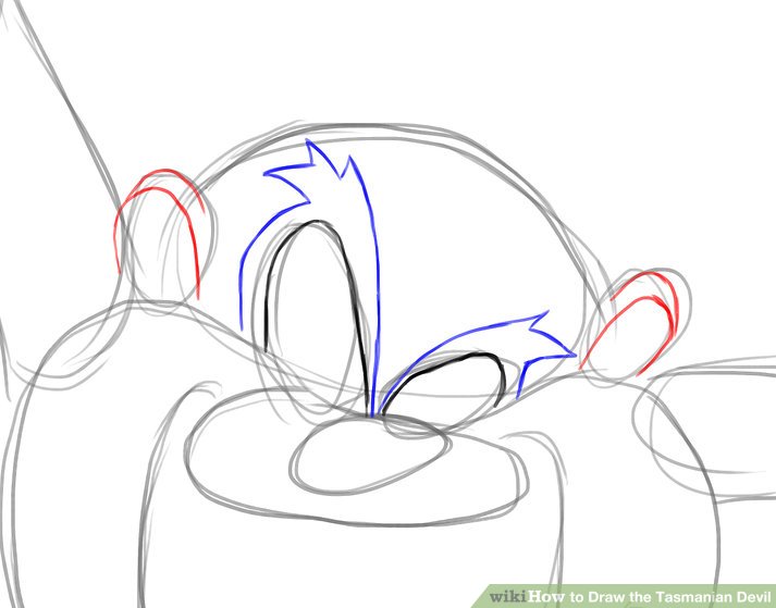 713x559 How To Draw The Tasmanian Devil 14 Steps (With Pictures)