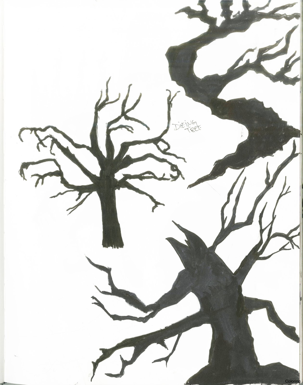 1260x1600 How To Draw A Dead Tree