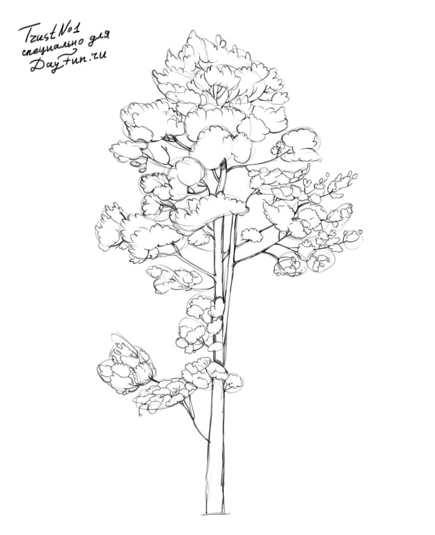 850x1045 Image Result For How To Draw Realistic Trees Planting Styles